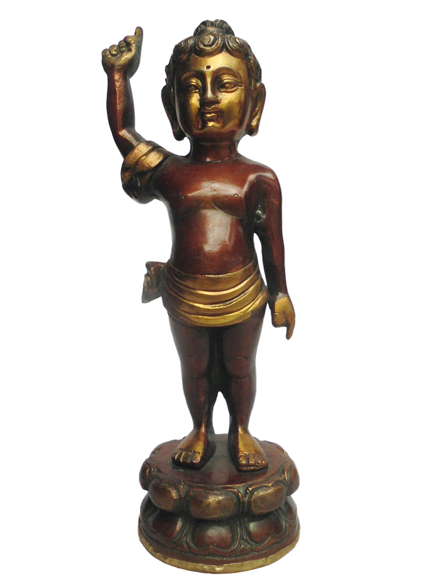 AWAG݁@BBT-1@lp[@ub^a