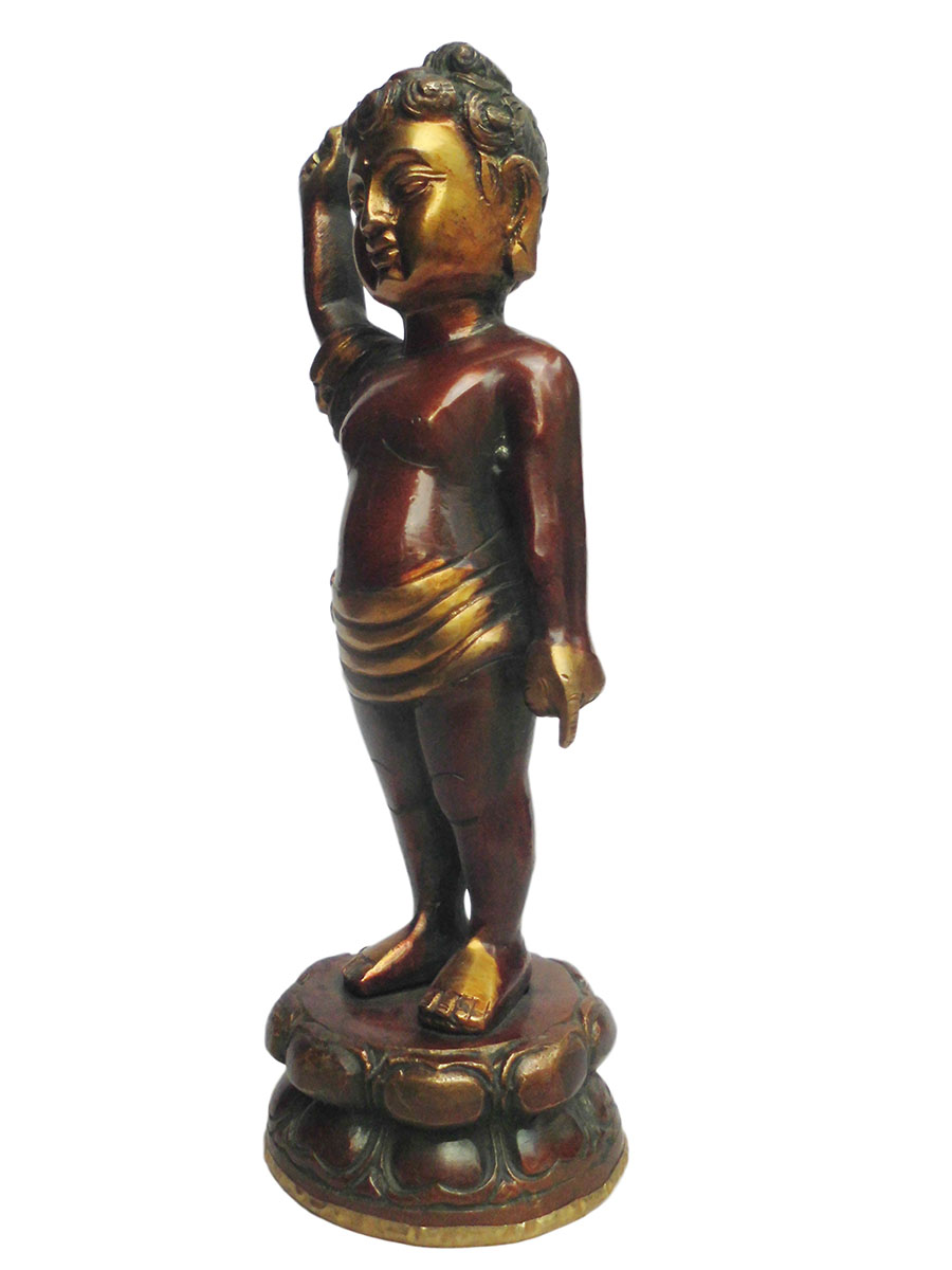 AWAG݁@BBT-1@lp[@ub^a