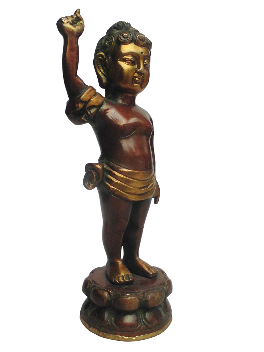 AWAG݁@BBT-1@lp[@ub^a