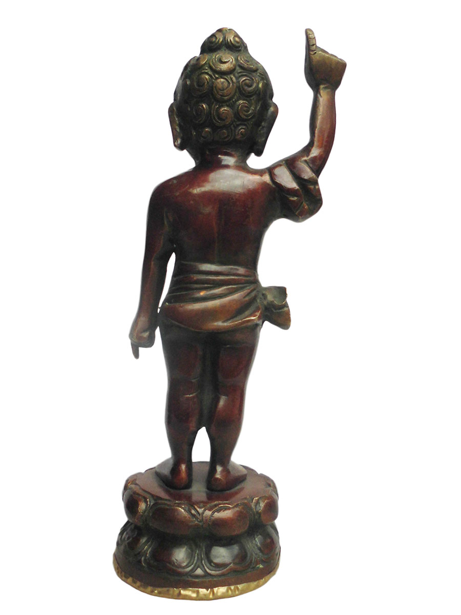 AWAG݁@BBT-1@lp[@ub^a