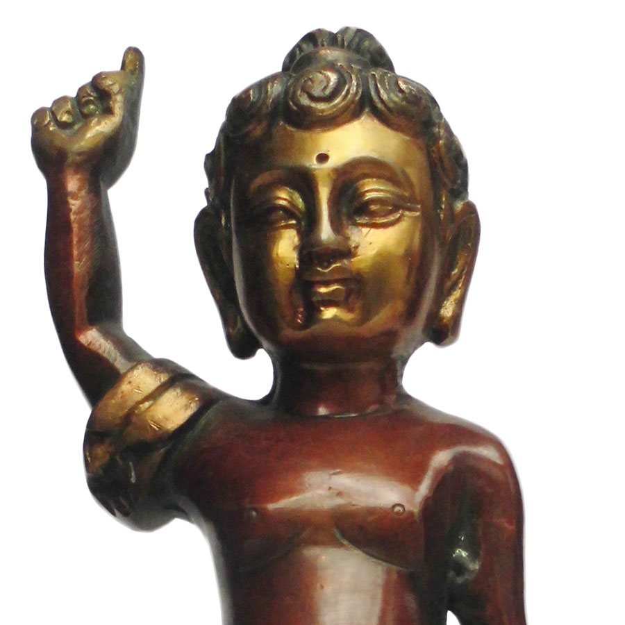 AWAG݁@BBT-1@lp[@ub^a