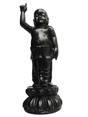 �A�W�A�G�݁@BBT-5�@�l�p�[�������@�u�b�^�a��