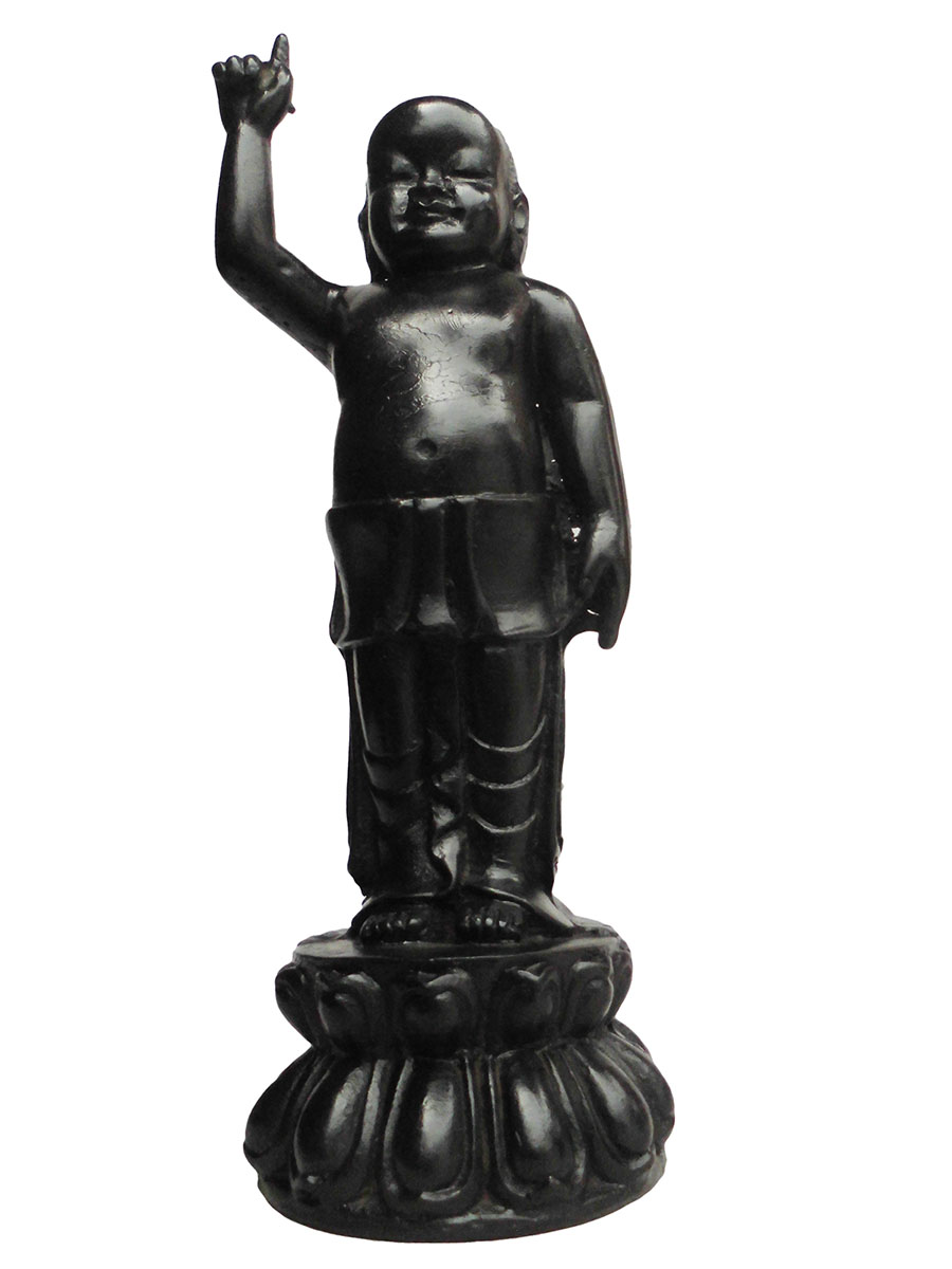 �A�W�A���G�݁@BBT-5�@�l�p�[�������@�u�b�^�a��