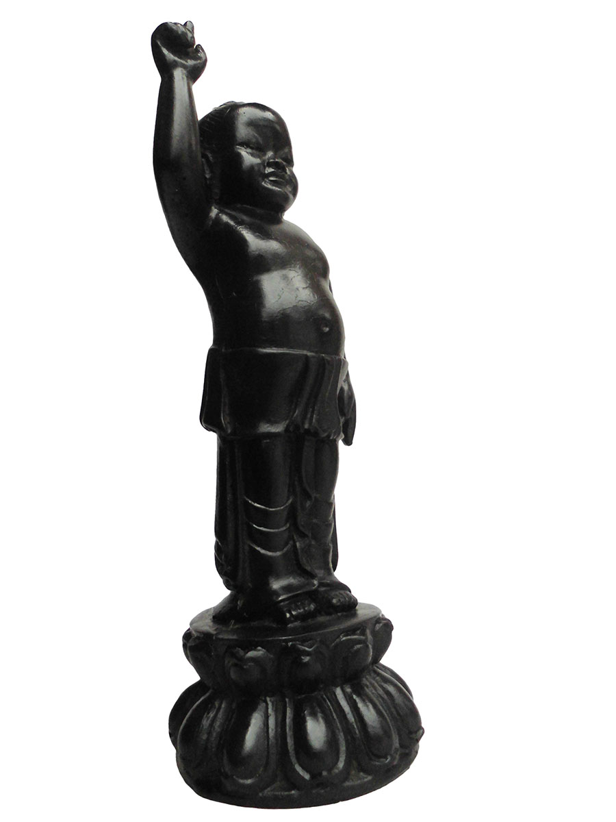 �A�W�A���G�݁@BBT-5�@�l�p�[�������@�u�b�^�a��