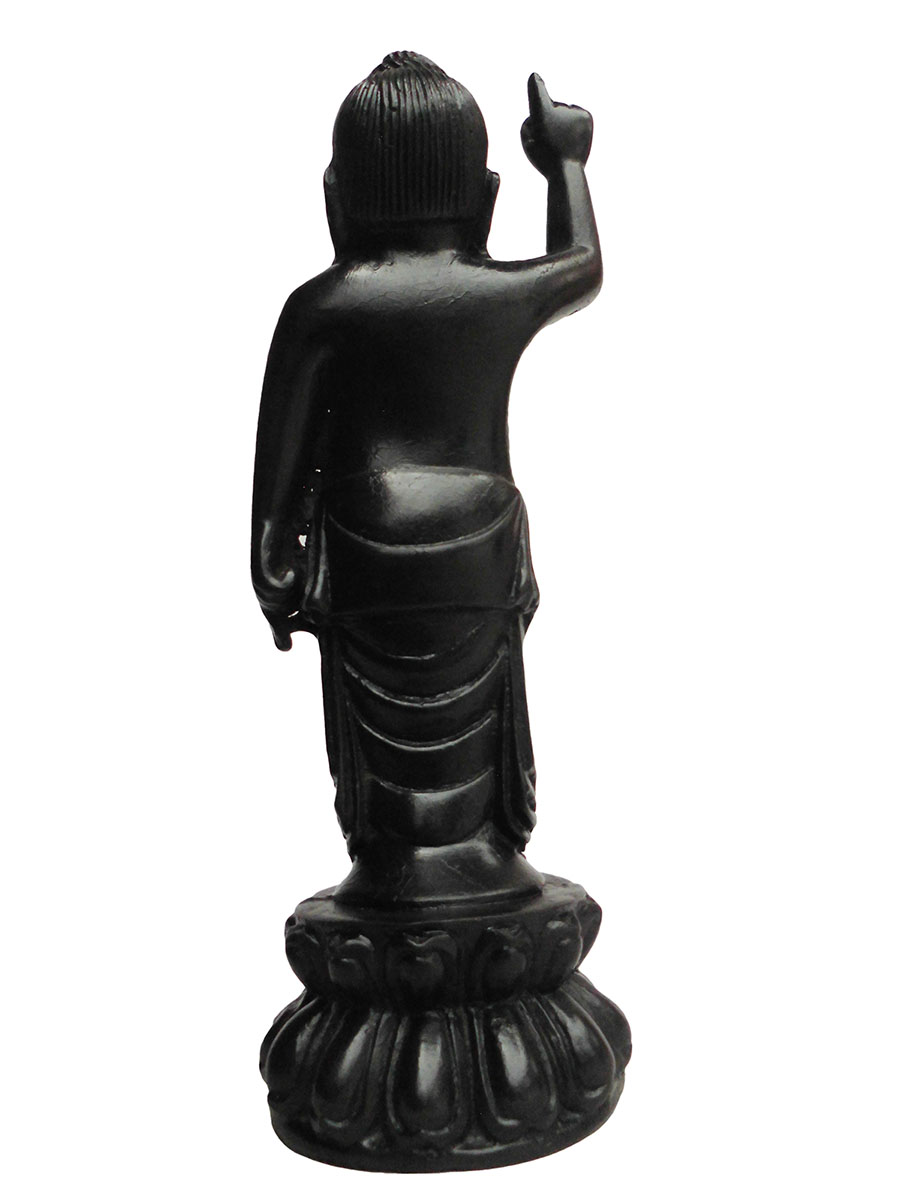 �A�W�A���G�݁@BBT-5�@�l�p�[�������@�u�b�^�a��