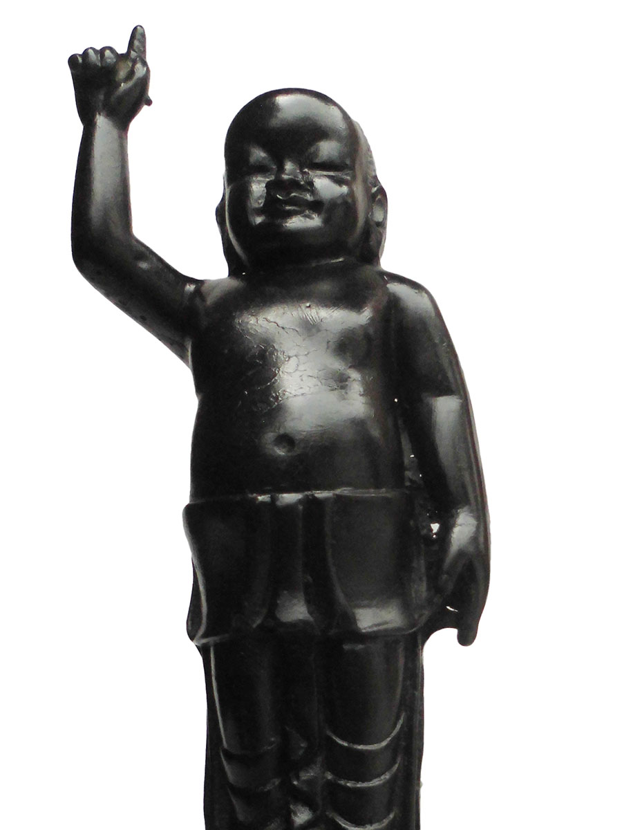 �A�W�A���G�݁@BBT-5�@�l�p�[�������@�u�b�^�a��