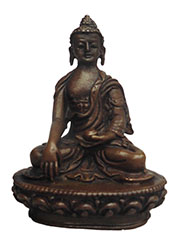 �A�W�A���G�݁@MNB-14�@�l�p�[�������@���������� (��t�@����)