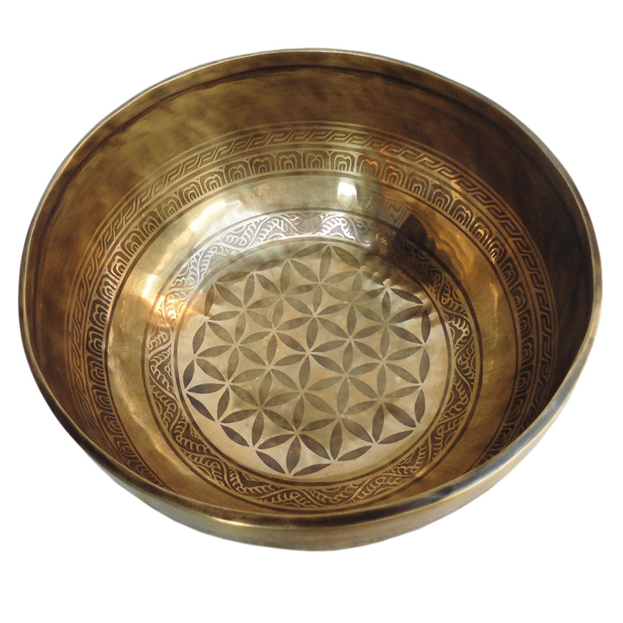 AWAG݁@SHIN-6@lp[ VMO{[