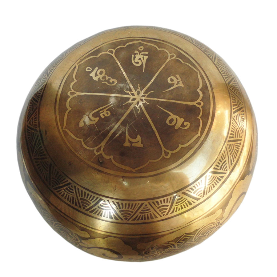 AWAG݁@SHIN-6@lp[ VMO{[