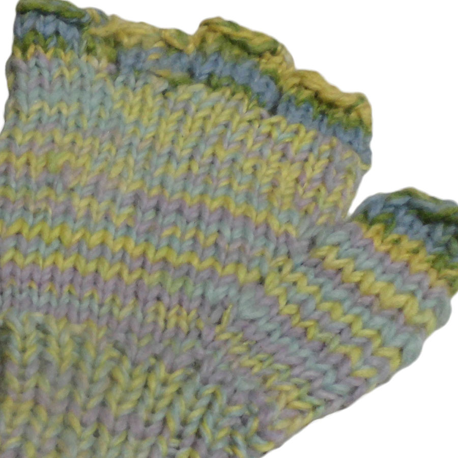 �A�W�A���G�݁@NGS-20 �l�p�[���E�E�[���w�Ȃ����