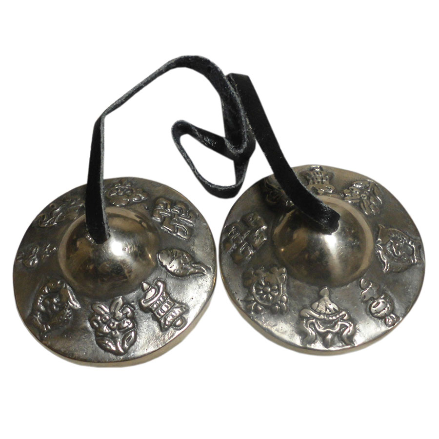 �A�W�A���G�݁@TEN-23�@�l�p�[������ �e�B���V��