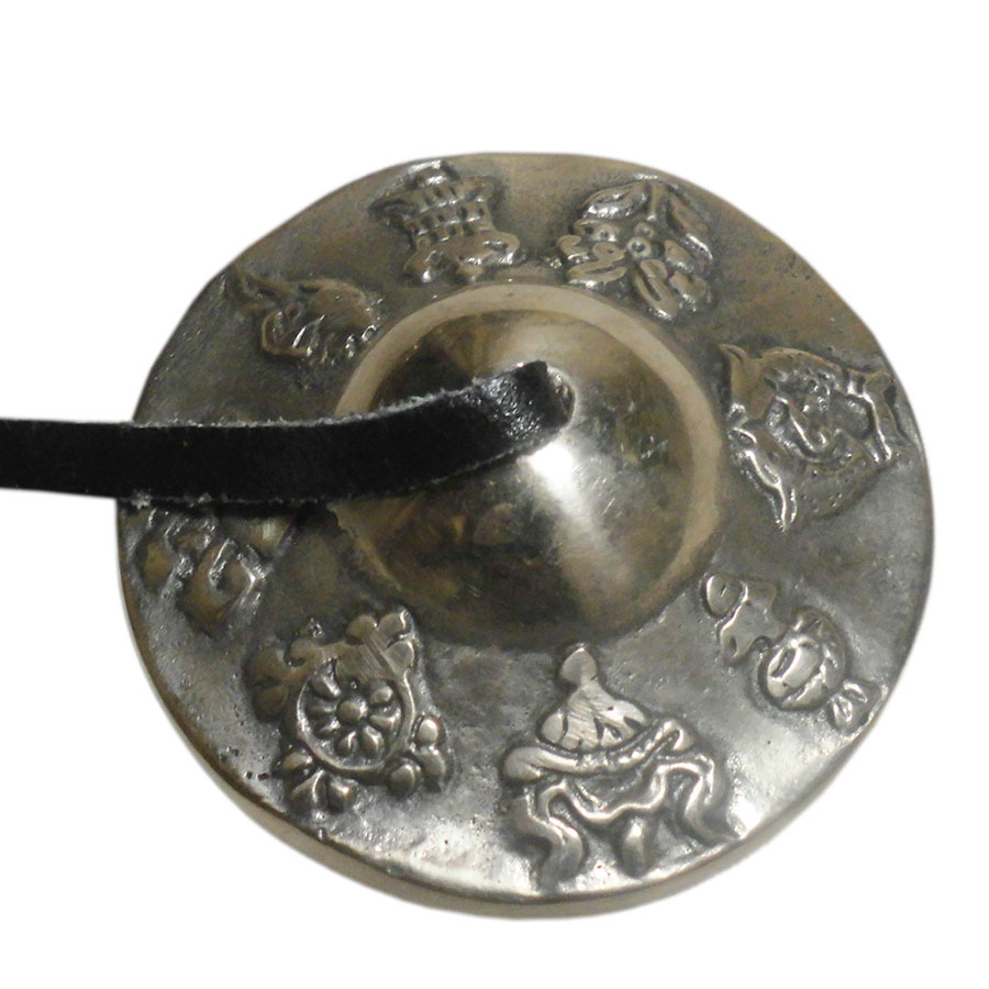 �A�W�A���G�݁@TEN-23�@�l�p�[������ �e�B���V��