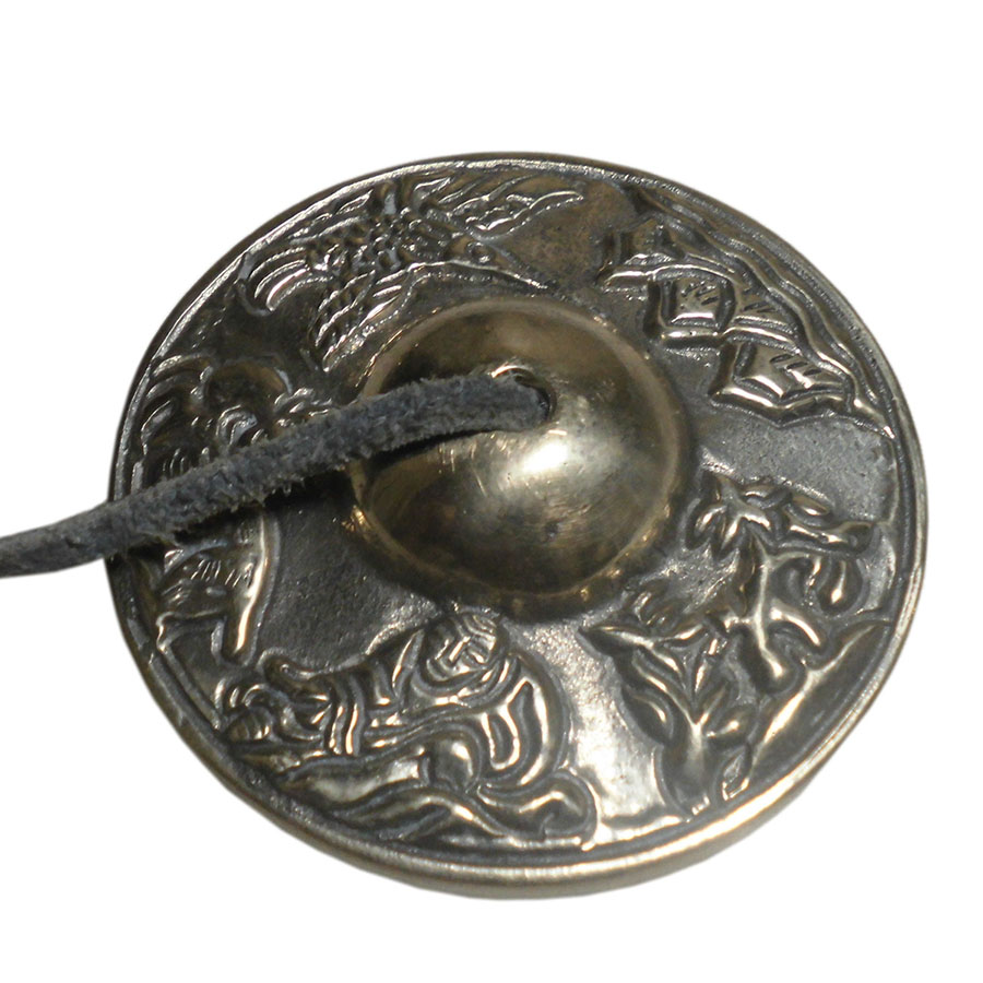 �A�W�A���G�݁@TEN-24�@�l�p�[������ �e�B���V��