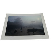 アジアン雑貨 NYP-1 ネパール・ポストカード(山と自然)