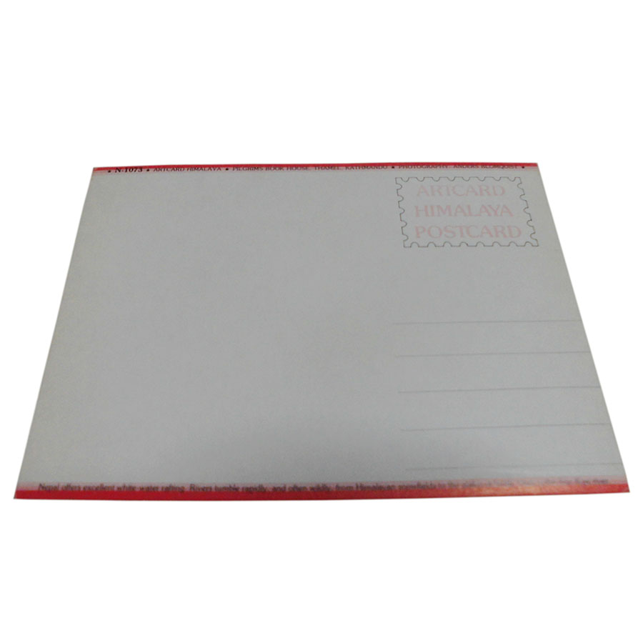 �A�W�A���G�� �@NYP-11�@�l�p�[���E�|�X�g�J�[�h(�R�Ǝ��R)