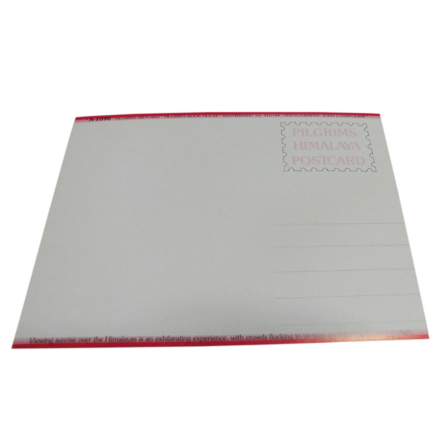 �A�W�A���G�� �@NYP-14�@�l�p�[���E�|�X�g�J�[�h(�R�Ǝ��R)