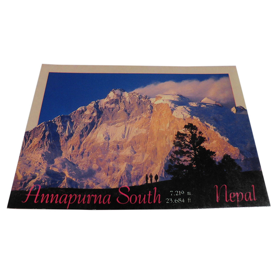 �A�W�A���G�� �@NYP-16�@�l�p�[���E�|�X�g�J�[�h(�R�Ǝ��R)