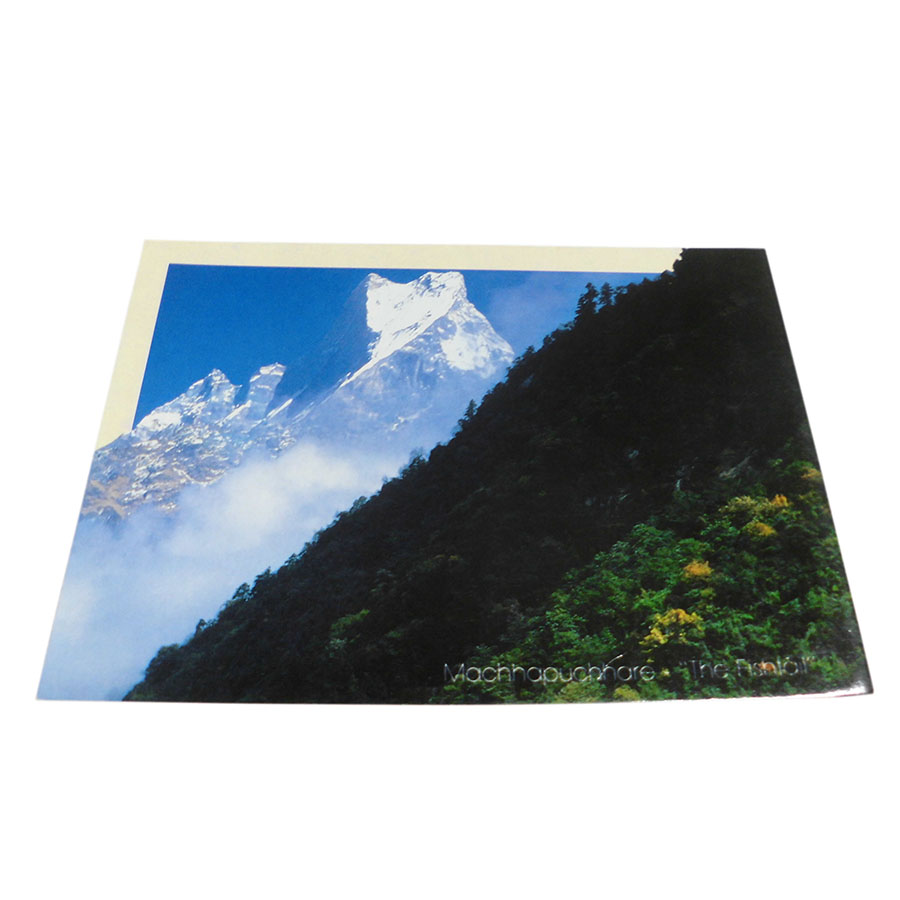 �A�W�A���G�� �@NYP-18�@�l�p�[���E�|�X�g�J�[�h(�R�Ǝ��R)