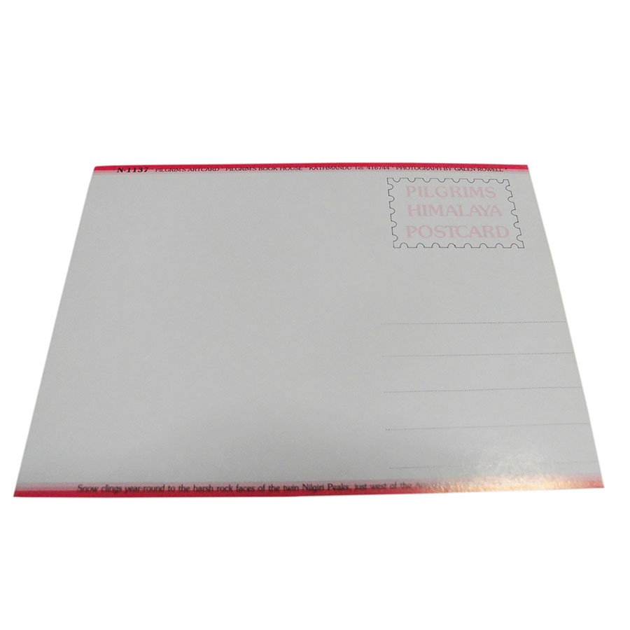 �A�W�A���G�� �@NYP-19�@�l�p�[���E�|�X�g�J�[�h(�R�Ǝ��R)