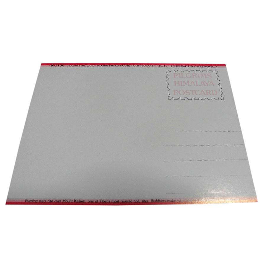 �A�W�A���G�� �@NYP-20�@�l�p�[���E�|�X�g�J�[�h(�R�Ǝ��R)