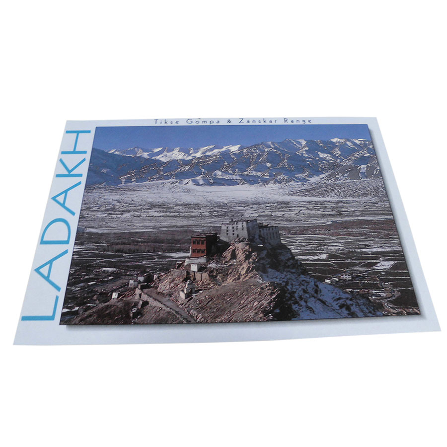 �A�W�A���G�� �@NYP-22�@�l�p�[���E�|�X�g�J�[�h(�R�Ǝ��R)