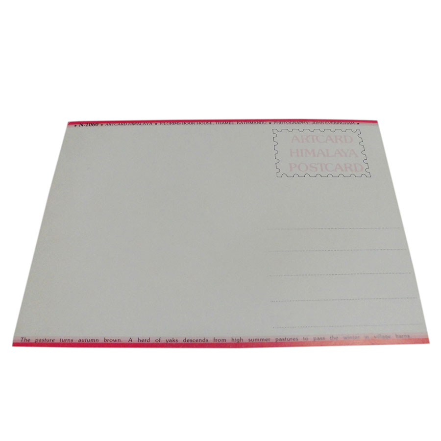 �A�W�A���G�� �@NYP-4�@�l�p�[���E�|�X�g�J�[�h(�R�Ǝ��R)