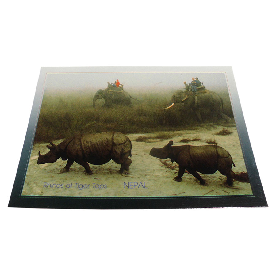 �A�W�A���G�� �@NYP-6�@�l�p�[���E�|�X�g�J�[�h(�R�Ǝ��R)