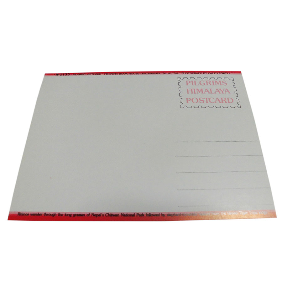 �A�W�A���G�� �@NYP-6�@�l�p�[���E�|�X�g�J�[�h(�R�Ǝ��R)