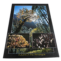 アジアン雑貨 NYP-7 ネパール・ポストカード(山と自然)