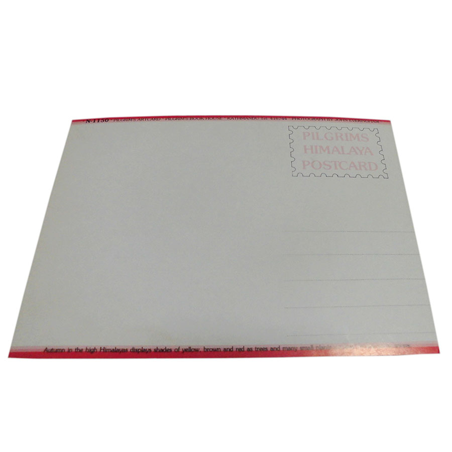 �A�W�A���G�� �@NYP-7�@�l�p�[���E�|�X�g�J�[�h(�R�Ǝ��R)