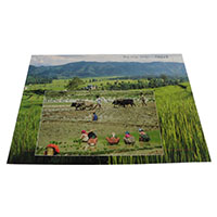 アジアン雑貨 NYP-8 ネパール・ポストカード(山と自然)