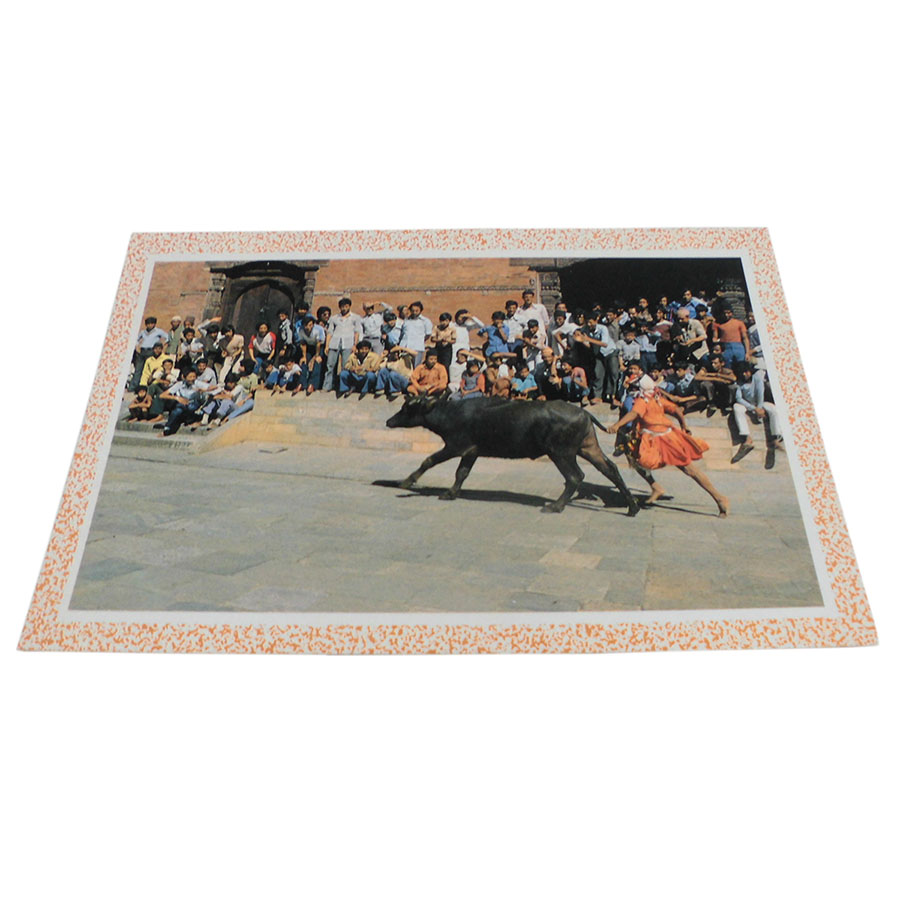 �A�W�A���G�� �@NYP-9�@�l�p�[���E�|�X�g�J�[�h(�R�Ǝ��R)