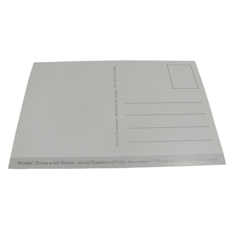 �A�W�A���G�� �@NYP-9�@�l�p�[���E�|�X�g�J�[�h(�R�Ǝ��R)