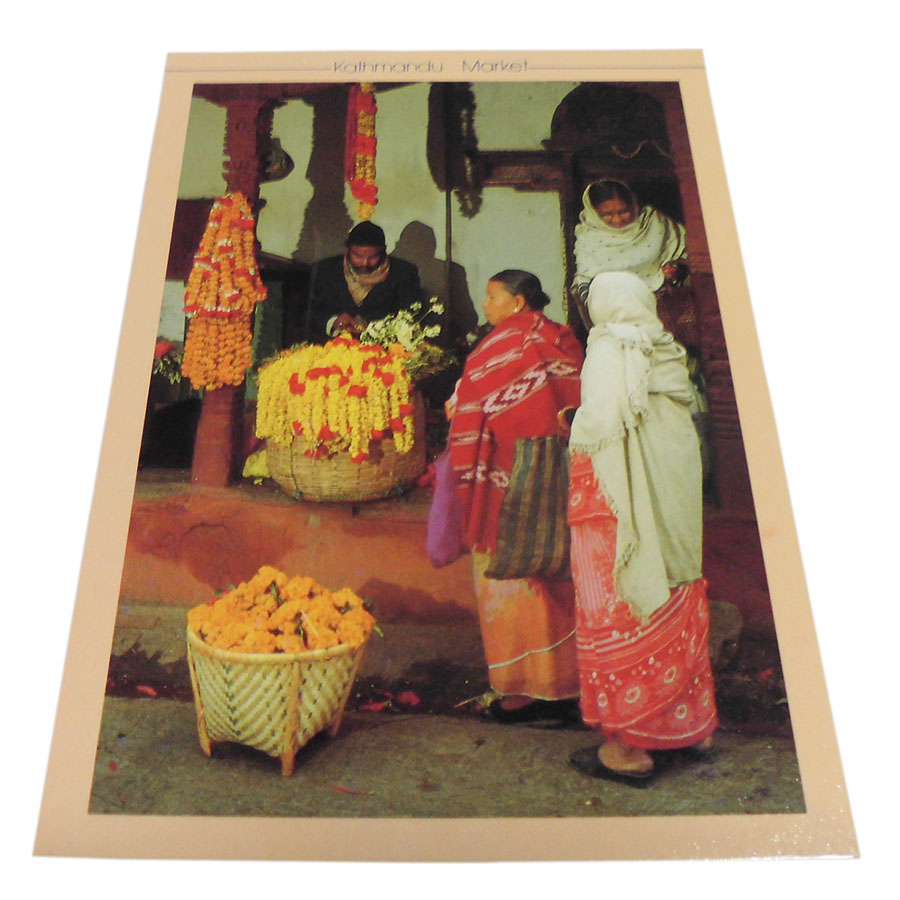 �A�W�A���G�� �@NPE-40�@�l�p�[���E�|�X�g�J�[�h(�l�p�[���̐l�X)