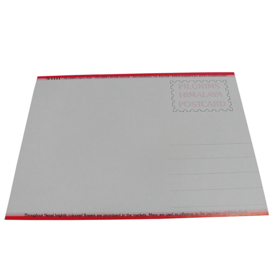 �A�W�A���G�� �@NPE-40�@�l�p�[���E�|�X�g�J�[�h(�l�p�[���̐l�X)