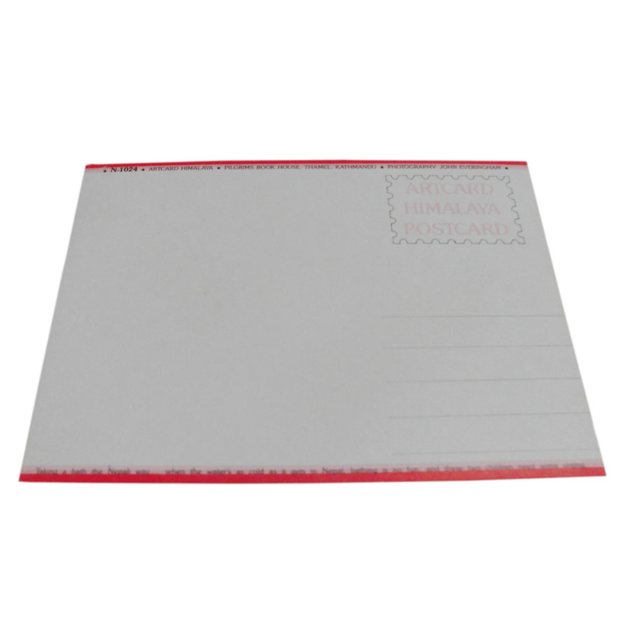 �A�W�A���G�� �@NPE-47�@�l�p�[���E�|�X�g�J�[�h(�l�p�[���̐l�X)