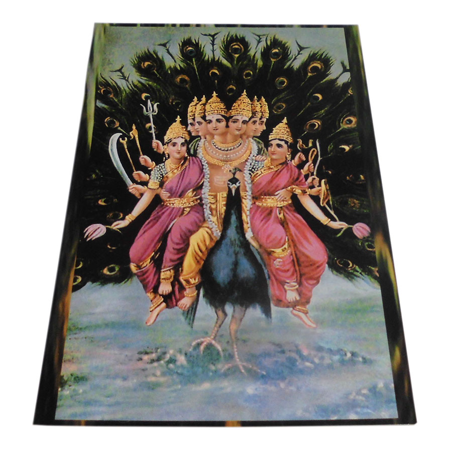 �A�W�A���G�� �@NBP-29�@�l�p�[���E�|�X�g�J�[�h(�_�l)