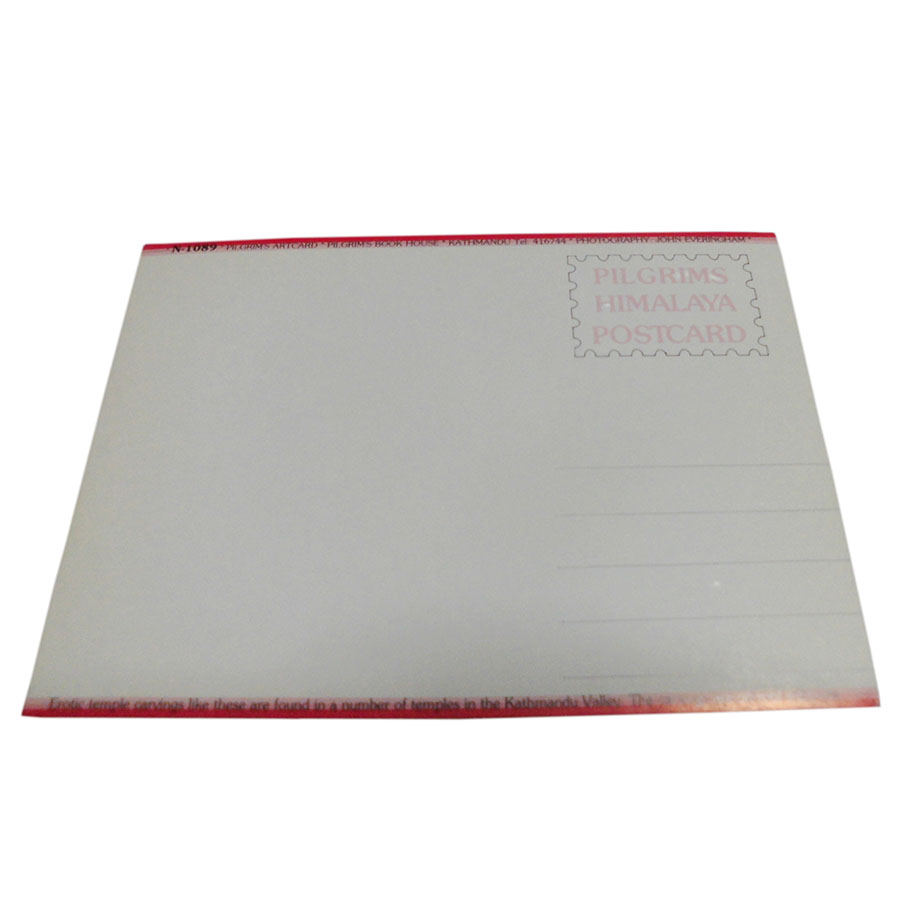 �A�W�A���G�� �@NTE-10�@�l�p�[���E�|�X�g�J�[�h(����)