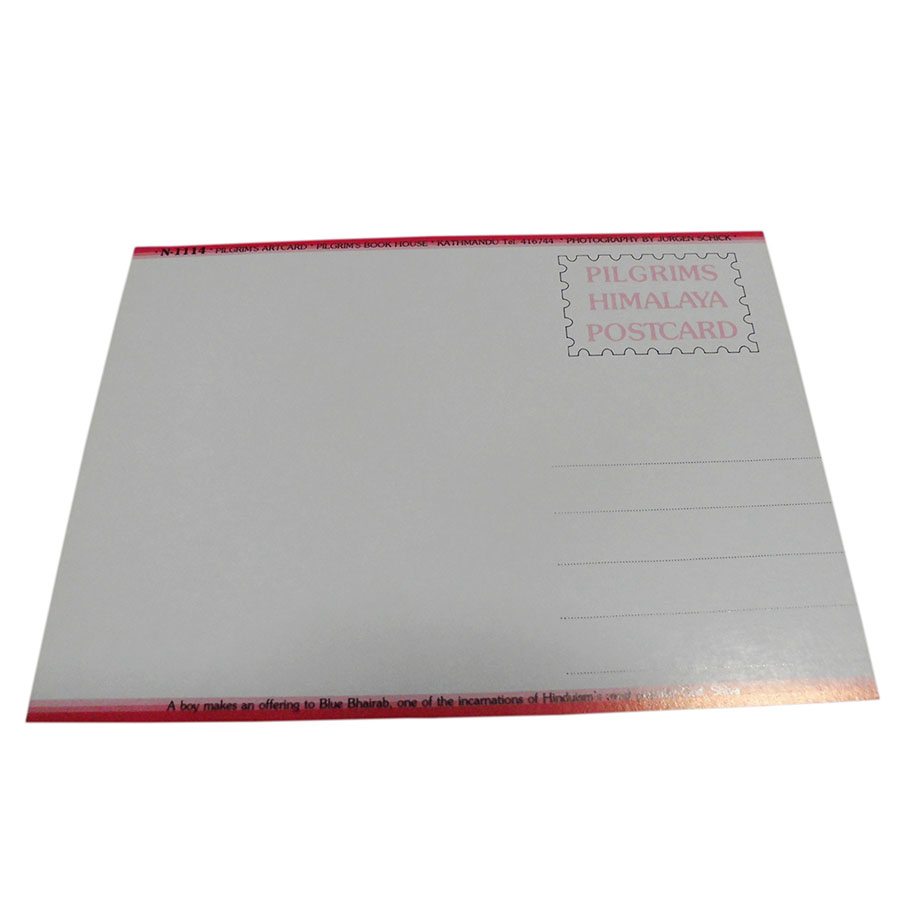 �A�W�A���G�� �@NTE-12�@�l�p�[���E�|�X�g�J�[�h(����)