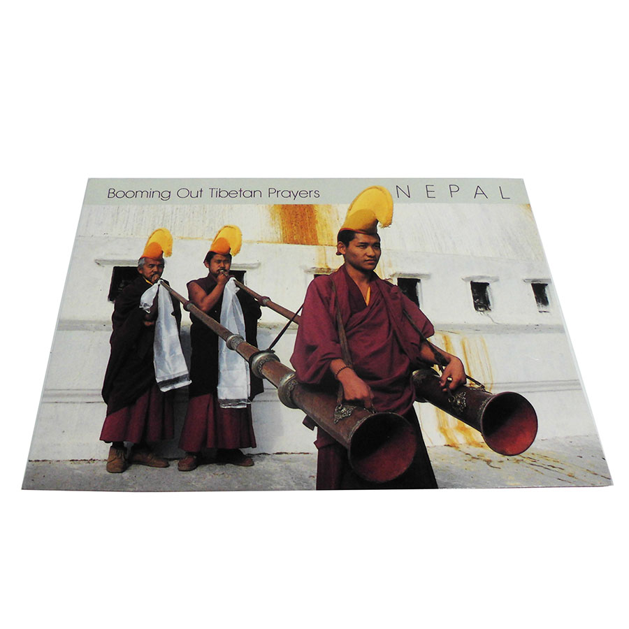 �A�W�A���G�� �@NTE-15�@�l�p�[���E�|�X�g�J�[�h(����)