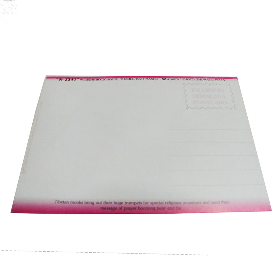 �A�W�A���G�� �@NTE-15�@�l�p�[���E�|�X�g�J�[�h(����)