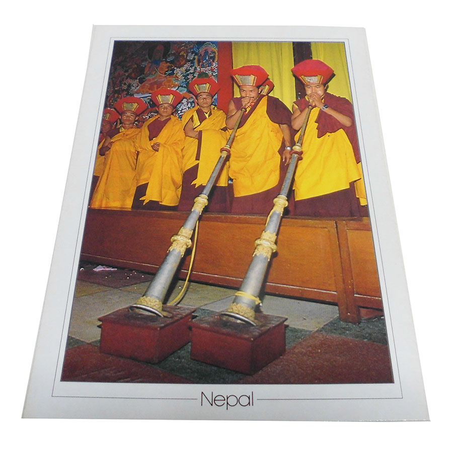 �A�W�A���G�� �@NTE-16�@�l�p�[���E�|�X�g�J�[�h(����)