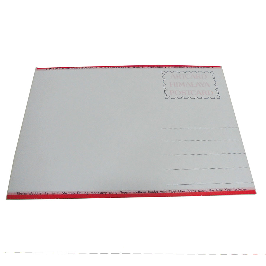 �A�W�A���G�� �@NTE-16�@�l�p�[���E�|�X�g�J�[�h(����)