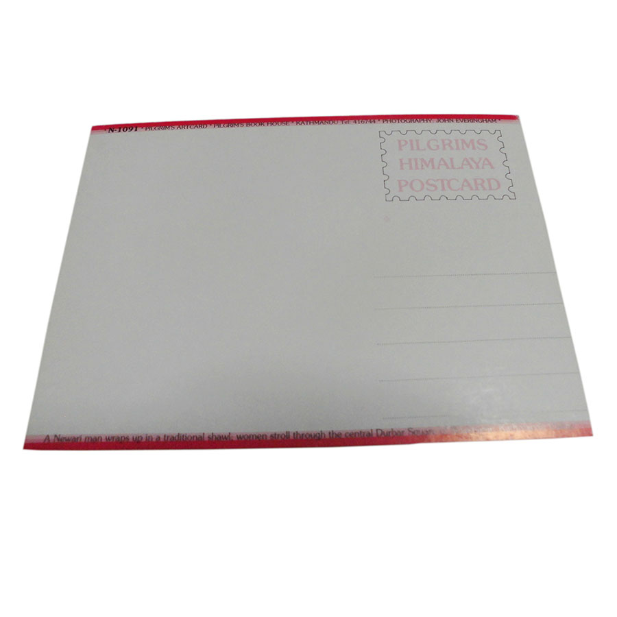 �A�W�A���G�� �@NTE-1�@�l�p�[���E�|�X�g�J�[�h(����)