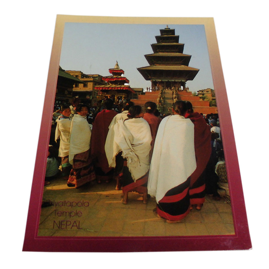 �A�W�A���G�� �@NTE-6�@�l�p�[���E�|�X�g�J�[�h(����)