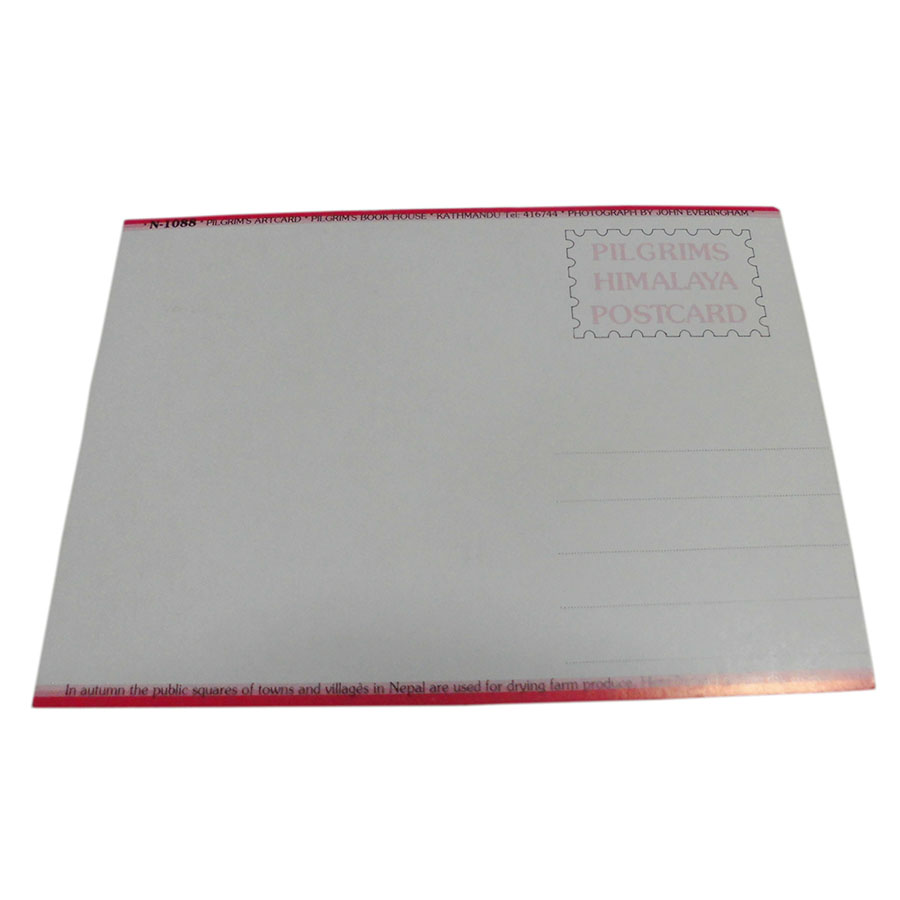 �A�W�A���G�� �@NTE-7�@�l�p�[���E�|�X�g�J�[�h(����)