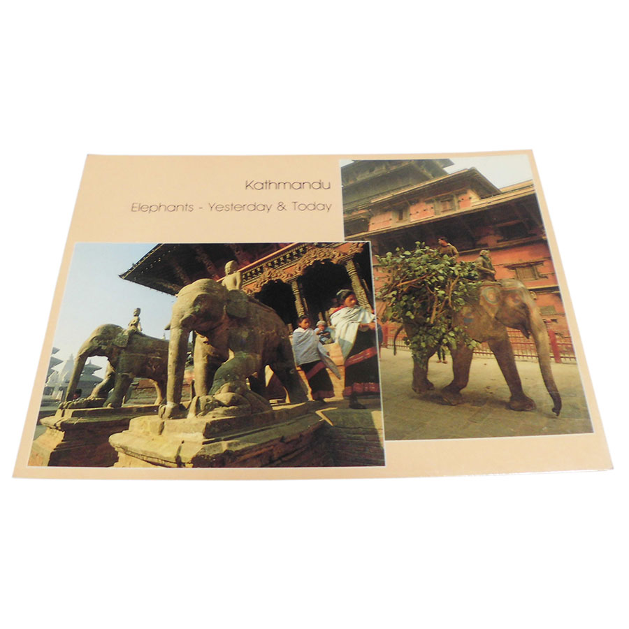 �A�W�A���G�� �@NTE-8�@�l�p�[���E�|�X�g�J�[�h(����)