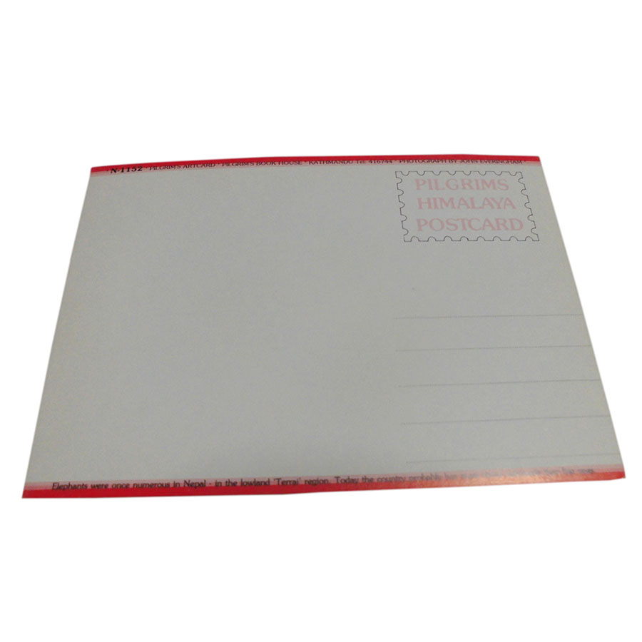 �A�W�A���G�� �@NTE-8�@�l�p�[���E�|�X�g�J�[�h(����)