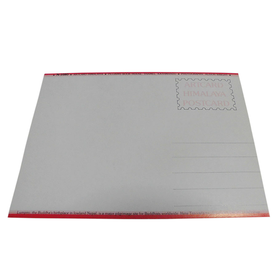 �A�W�A���G�� �@NTE-9�@�l�p�[���E�|�X�g�J�[�h(����)