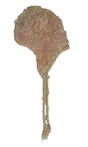 アジアン衣料 SNH-13 ネパール・シルク耳あて付き帽子